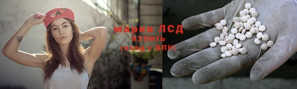PSILOCYBIN Михайлов