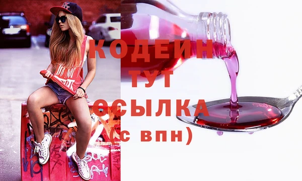 прущие грибы Михайловск